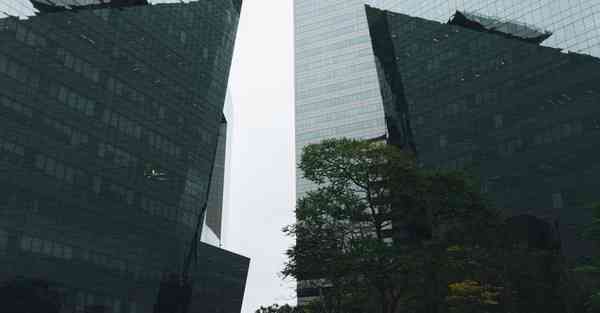 人工智能机器人和人谈恋爱