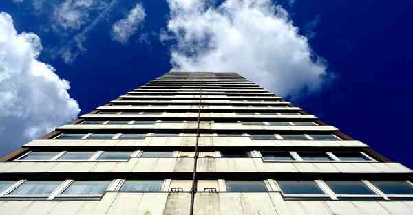 外国语单招大数据的行业文章