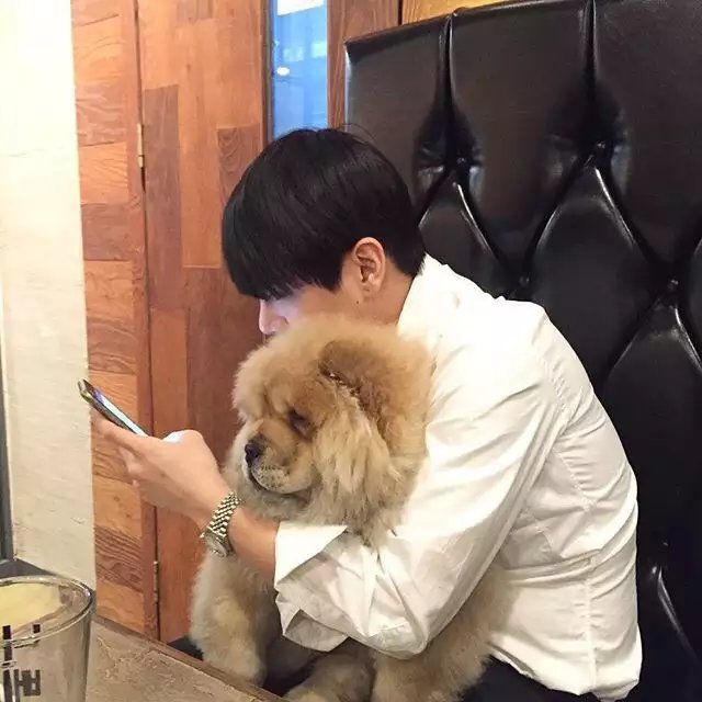 平健兰瑶