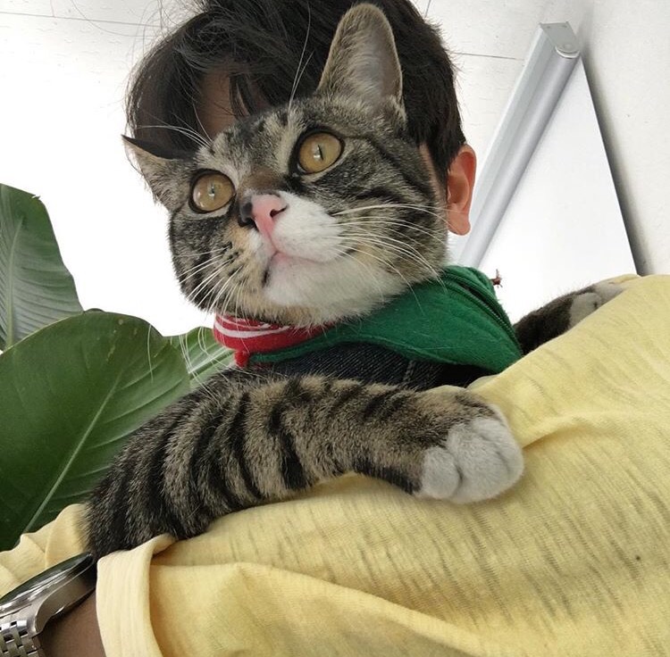 赫连义亮俊