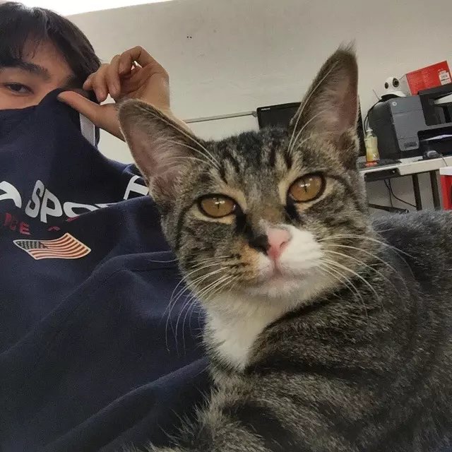 许玛芸剑