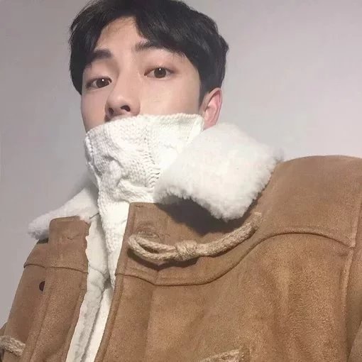 湛伯舒彩