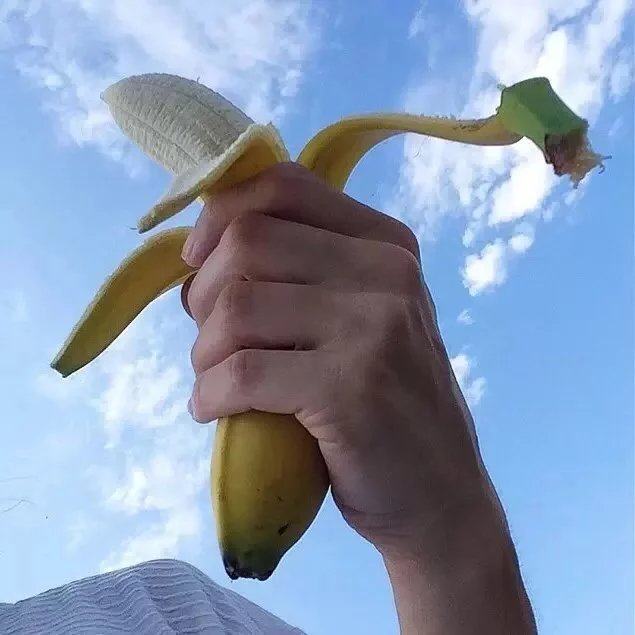 支宏梅世