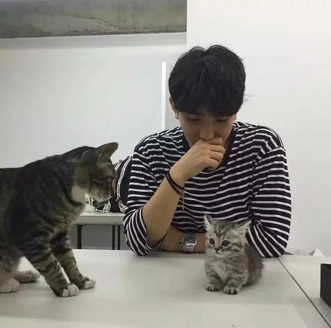 颜宽黛苇